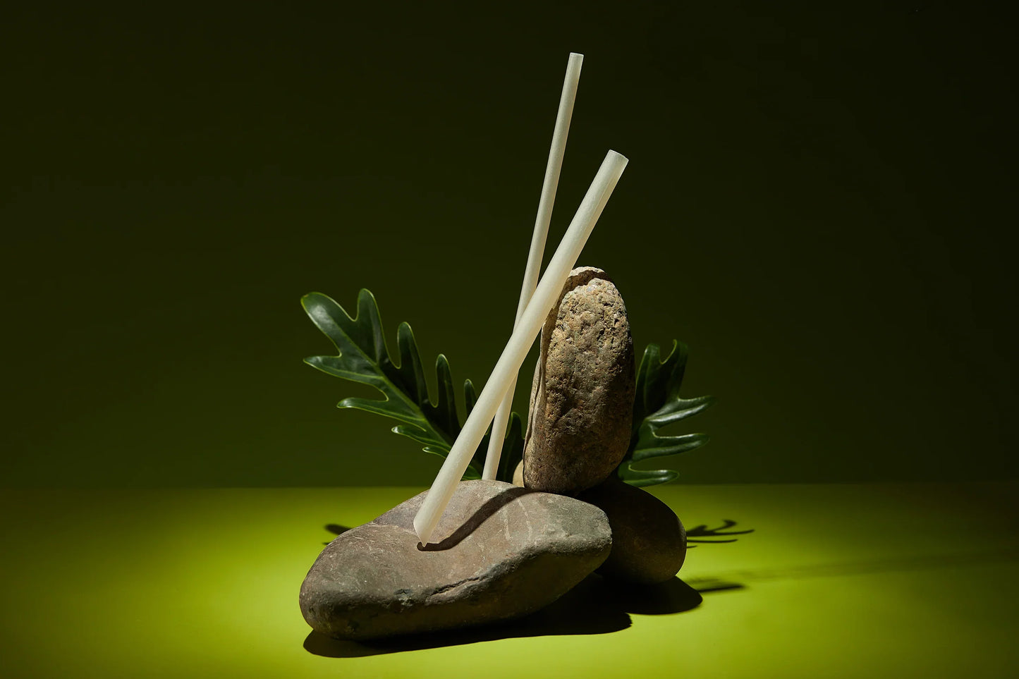 250 Rice Straws Cocktail Φ6 (Length 15cm)