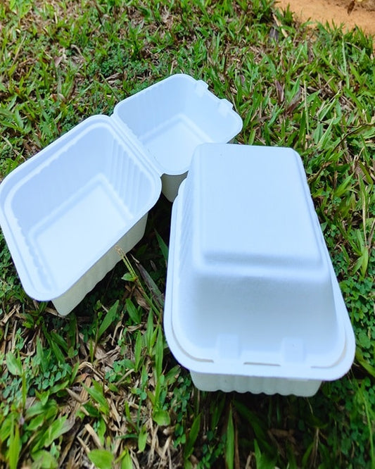 EcoTouch Bagasse Takeaway Food Containers (Pack of 25)