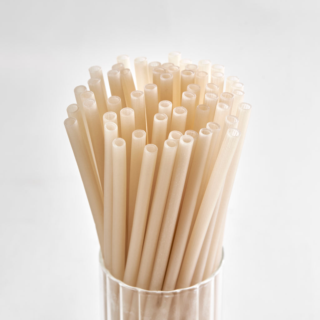 EcoTouch Natural Rice Straws — 10mm × 22cm (50 Pack)
